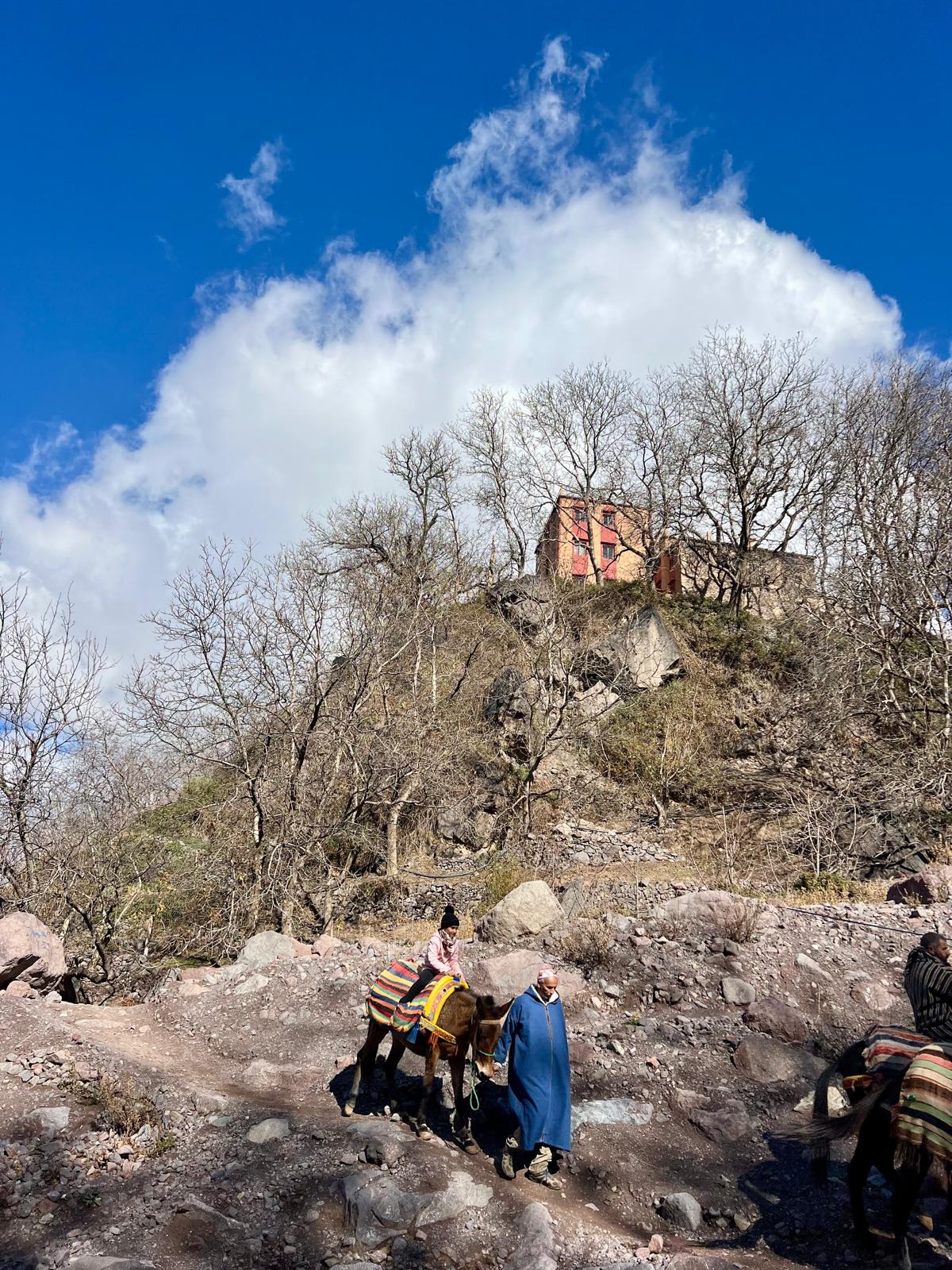 marrakech souk market rug craft street in morocco